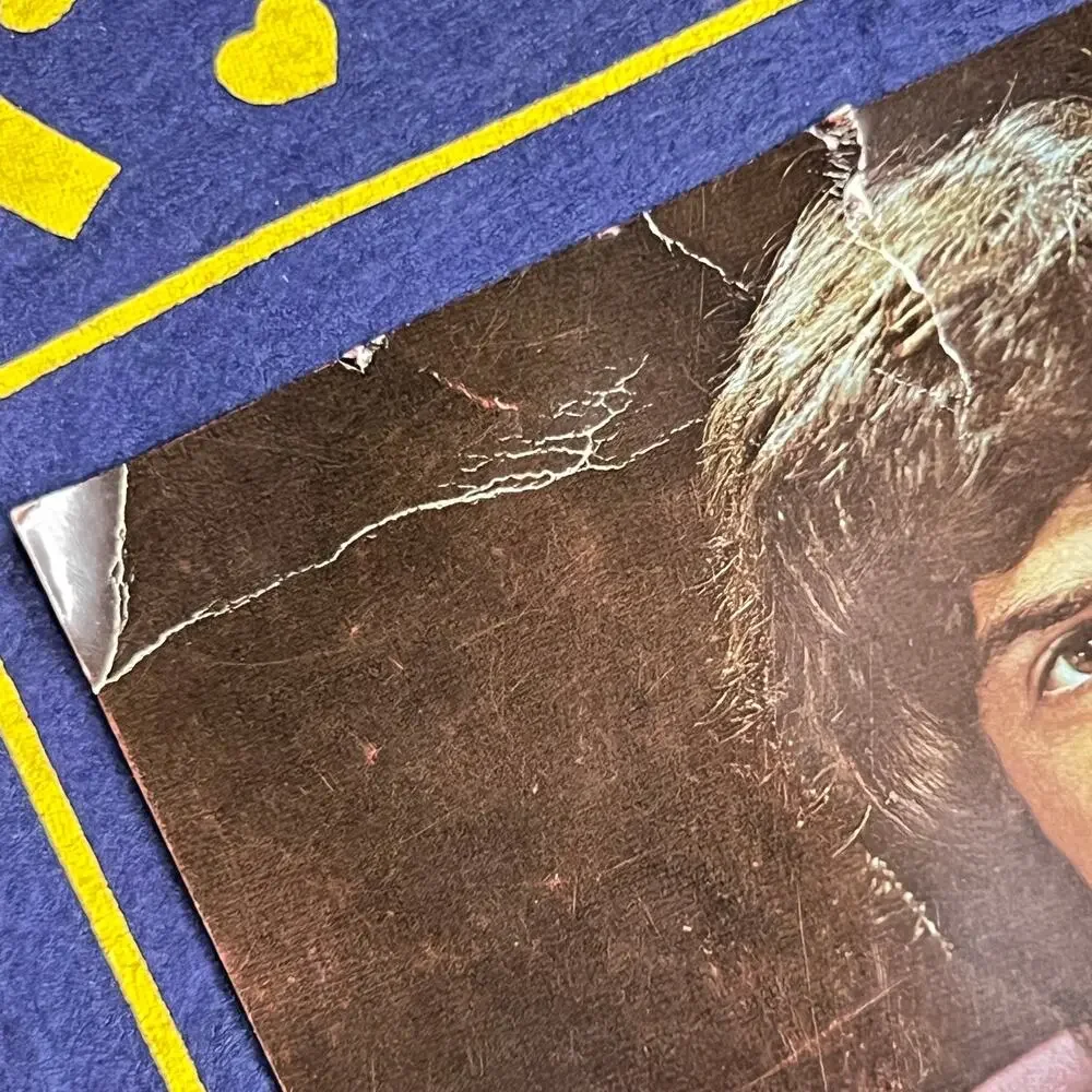 Vintage 70s Donny Osmond Photo I Love the Osmonds Felt Concert Pennant